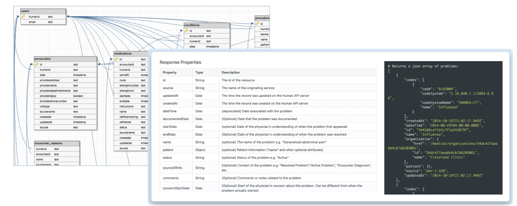 screenshot of LexisNexis Human API